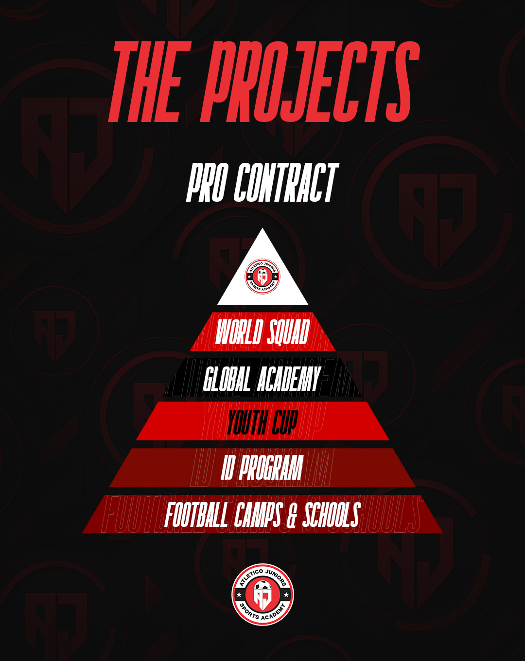 The Projects Pyramid - Pathway Overview